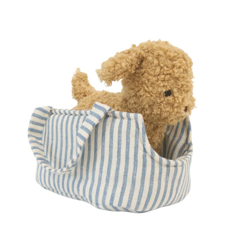 Image of Puppy in Carrier 'Toffee'