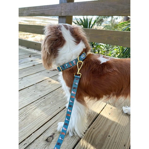Image of Cavalier King Charles Spaniel Dog Collar - Forest Green MEDIUM