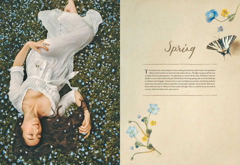 Image of An American in Provence