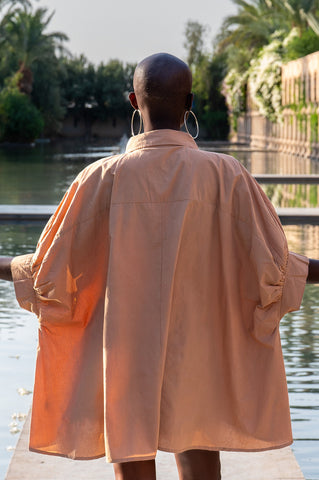 Image of Palm Tree Top-Brown