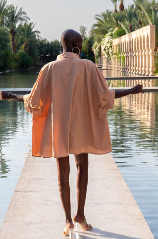 Image of Palm Tree Top-Brown