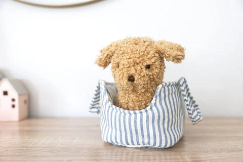Image of Puppy in Carrier 'Toffee'