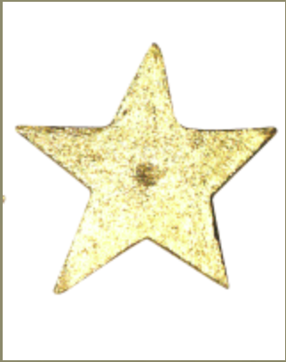 Image of Star Nails Small