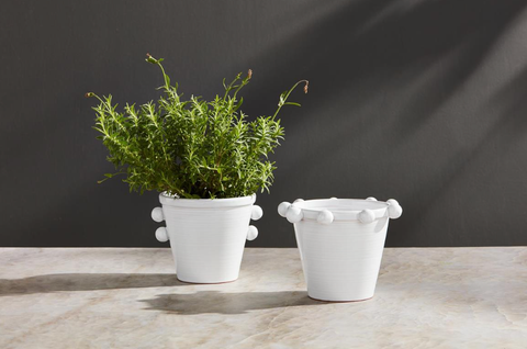 Image of BEAD FLOWER POTS with Amaryllis