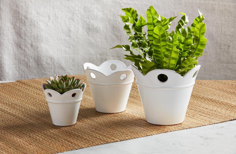 Image of SCALLOP POTS