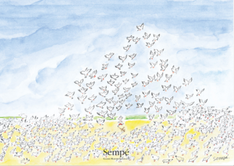 Image of SEMPE SEAGULLS