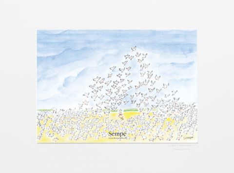 Image of SEMPE SEAGULLS