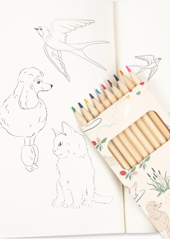 Image of Coloring Book and Crayons - Mizumi