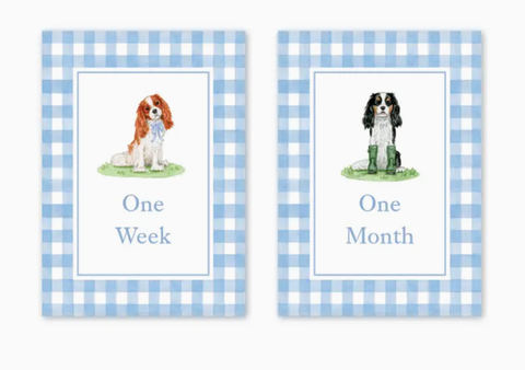 Image of Cavalier Garden Blue Milestone Cards