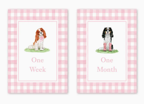 Image of Cavalier Garden Pink Milestone Cards