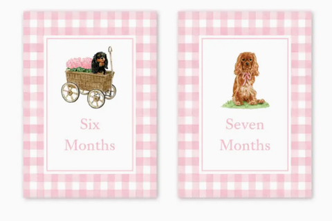 Image of Cavalier Garden Pink Milestone Cards