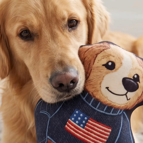 Image of Ruff Lauren Teddy Dog | Plush Squeaker Dog Toy