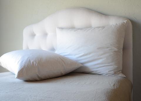 Bella Notte Linens Deluxe Pillow Insert