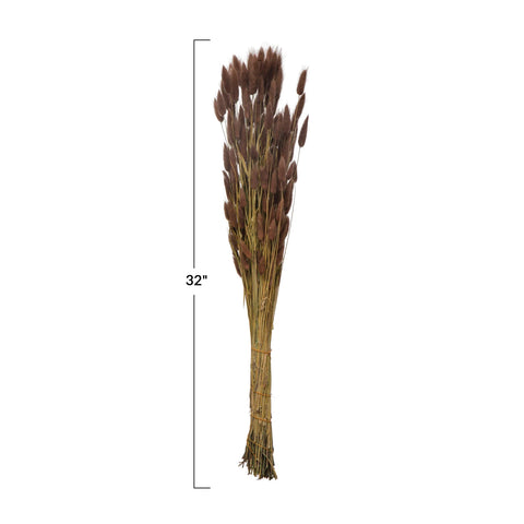 Image of Dried Bunny Tail Bunch