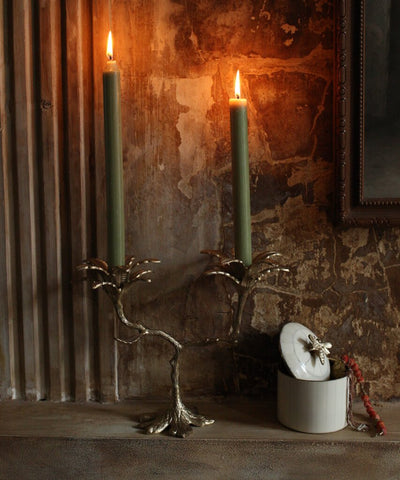 Image of Palash Palm Candle Holder
