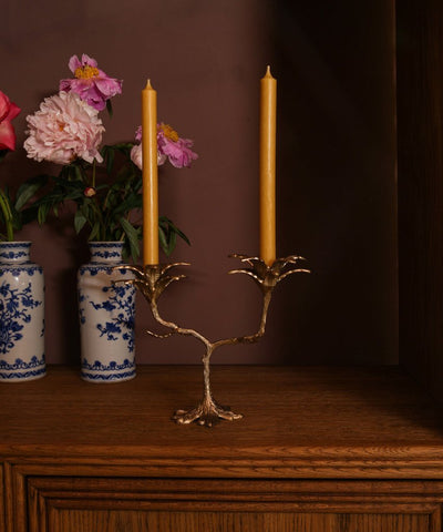 Image of Palash Palm Candle Holder