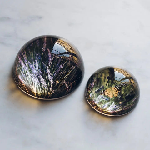 Image of Lavender & Butterfly Paperweight Set