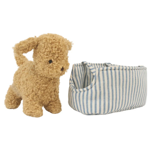 Puppy in Carrier 'Toffee'