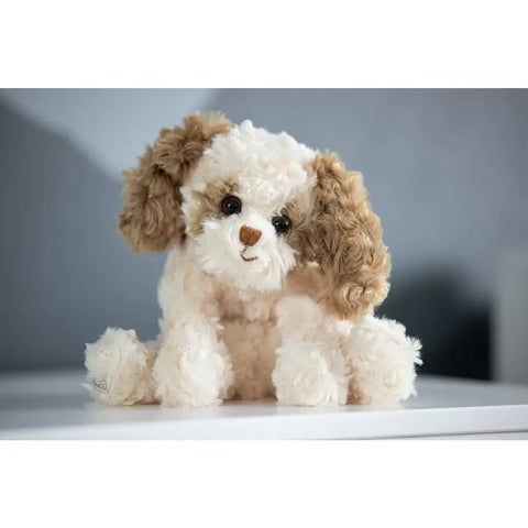 Image of Buddylina Dog