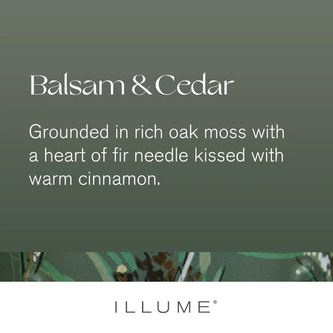 Image of Balsam & Cedar Demi Tin Candle