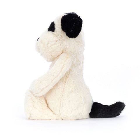 Image of Bashful Black & Cream Puppy Rafferty