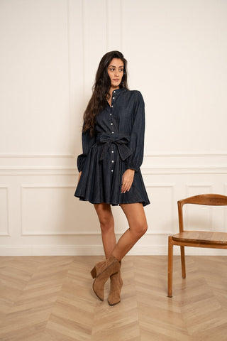 Image of Sonia Skater Dress- Denim