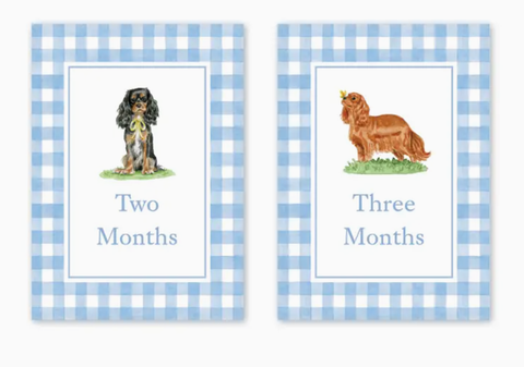 Image of Cavalier Garden Blue Milestone Cards