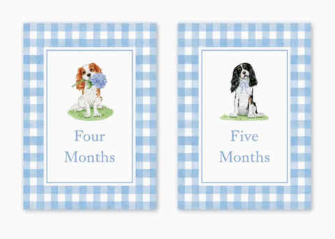 Image of Cavalier Garden Blue Milestone Cards