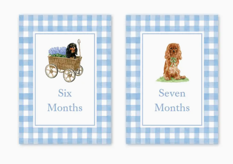 Image of Cavalier Garden Blue Milestone Cards