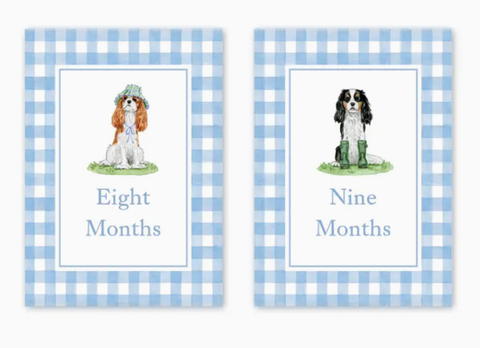 Cavalier Garden Blue Milestone Cards