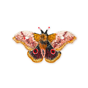 Emperor Mopane Moth Brooch