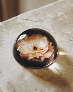 Provencal Blush Rose Paperweight