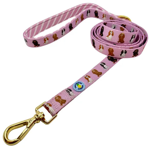 Image of Cavalier King Charles Spaniel Leash - Pink