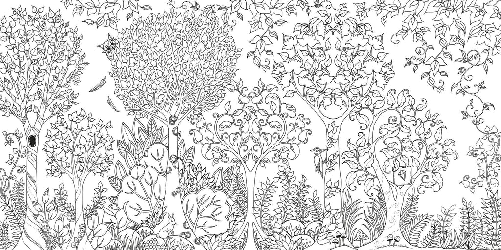 Enchanted Forest: An Inky Quest and Coloring book SALE