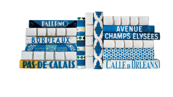 Set of 4 Assorted Blue Cover Decorative Books