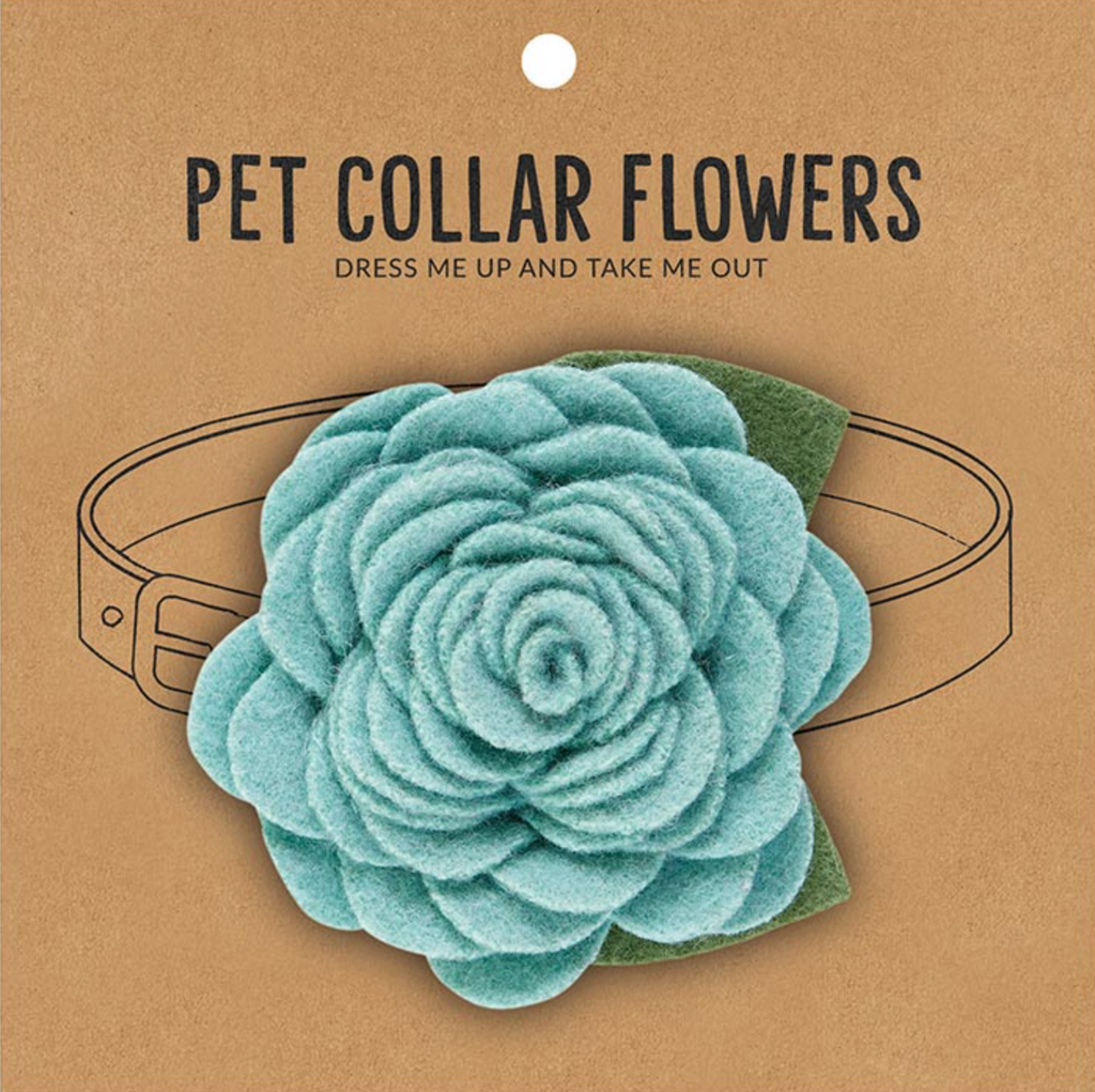 Large Flower Pet Collar-AQUA