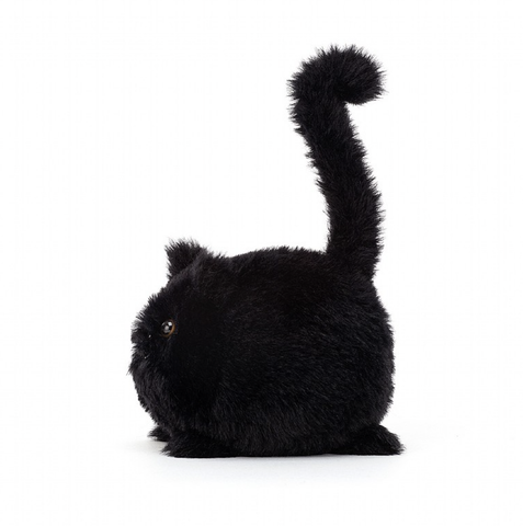 Image of Kitten Caboodle Black