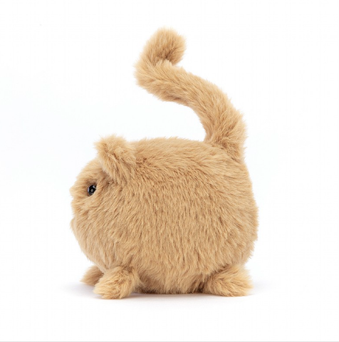 Image of Kitten Caboodle Ginger
