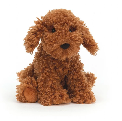 Image of Cooper Labradoodle Pup