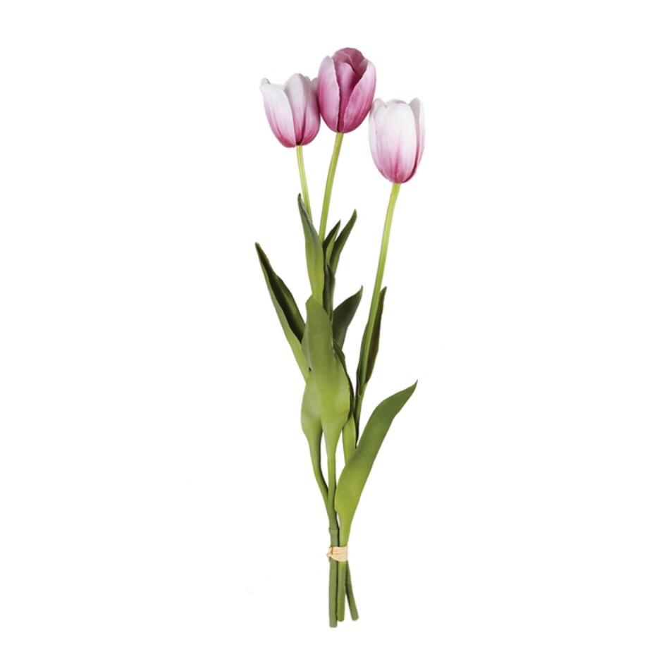 French Tulips Bundle 24"